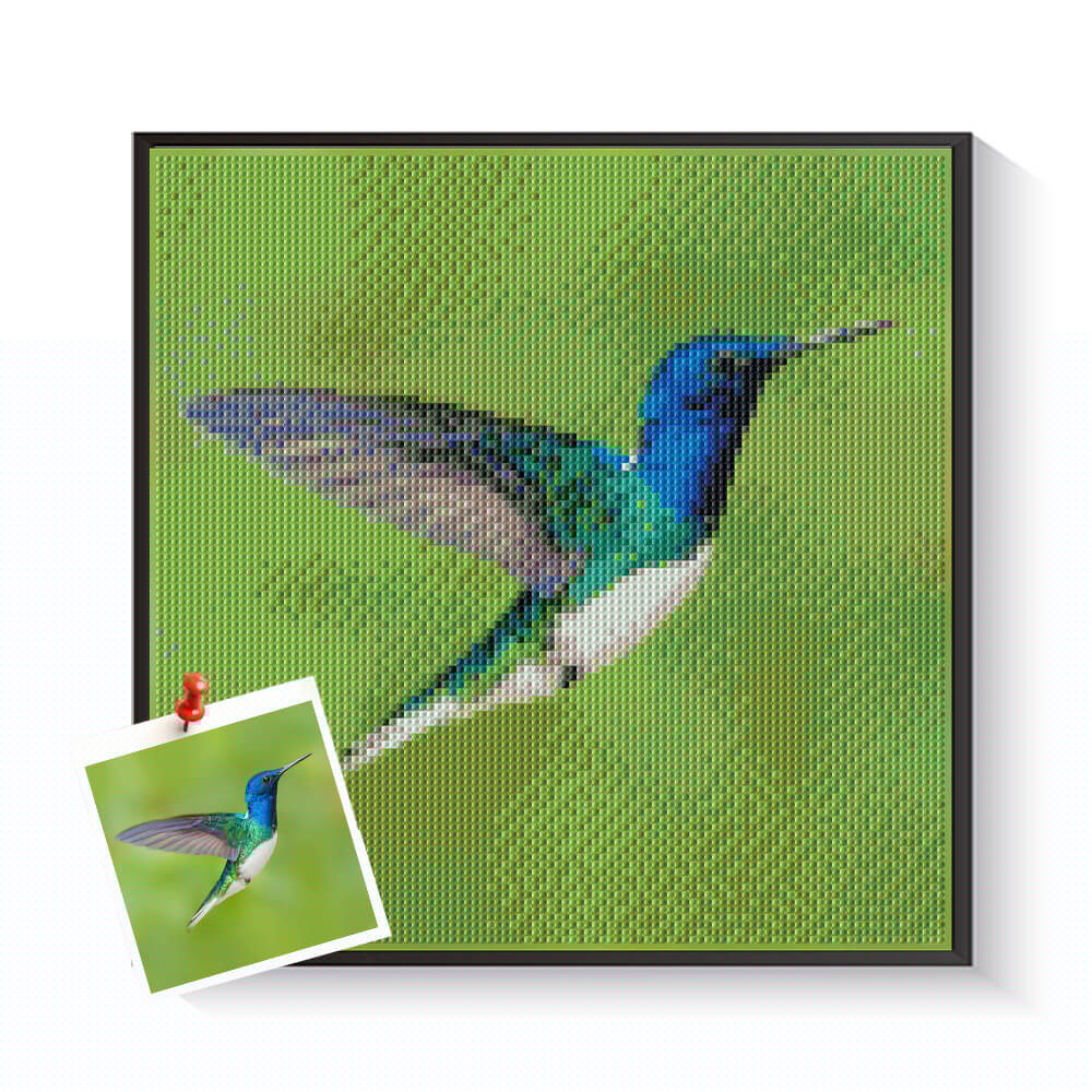 Custom Bird Diamond Paintings | Parrot, Hummingbird & Pet Bird Diamond Art Kits | DYCDIY