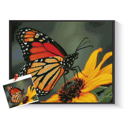 Personalized butterfly scene diamond painting for colorful home decoration – DYCDIY