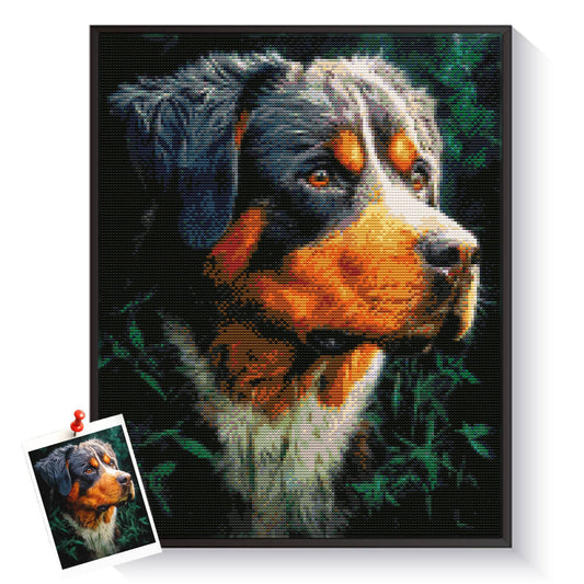 Bernese Mountain Dog, A Gentle Giant That Shines Forever