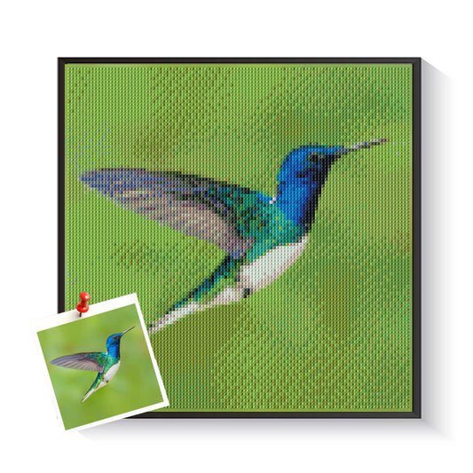 Custom hummingbird diamond artwork as a heartfelt bird lover gift – DYCDIY