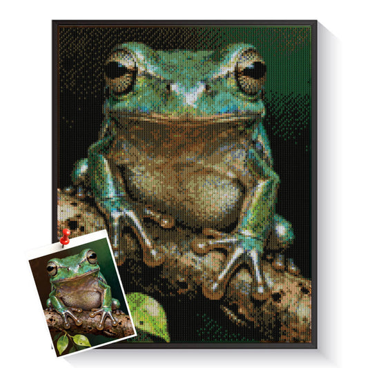 Custom frog diamond painting created from a pond photo – DYCDIY