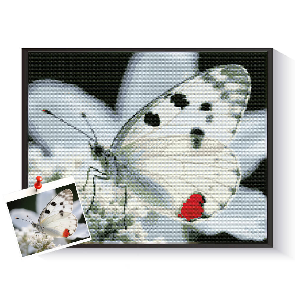 Custom butterfly diamond painting kits created from a photo – DYCDIY