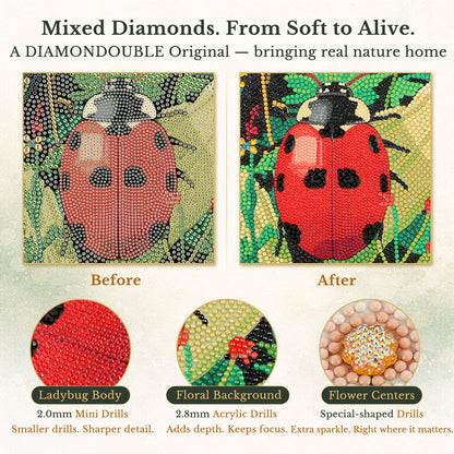 Ladybug Diamond Painting – A Life Cycle Story in Diamond Art