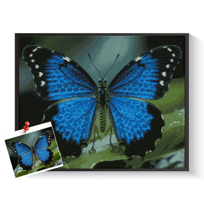 Custom butterfly 5D diamond painting created from a photo – DYCDIY